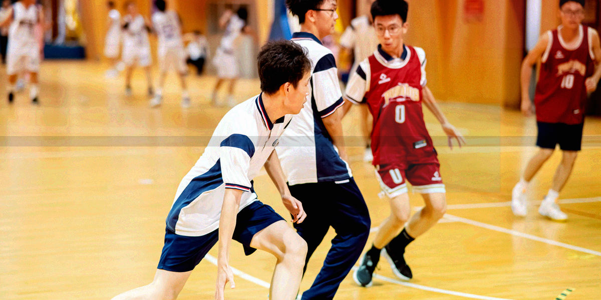 抽象文档线条与刻度网格，电子绿细线点缀，无文字与人物